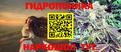 spice Краснокаменск