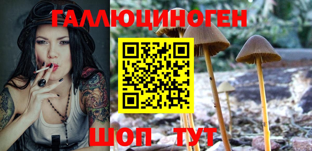 Галлюциногенные грибы Psilocybe Гулькевичи